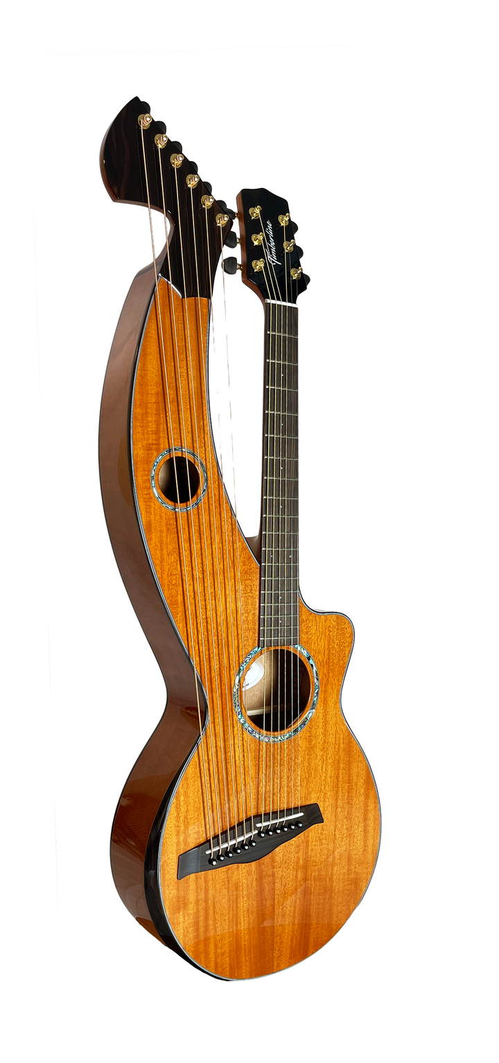 T30HGpc Premium 100% Tropical Mahogany 12 String Parlor sized harp guitar with ebony fretboard, arm bevel and bridge.