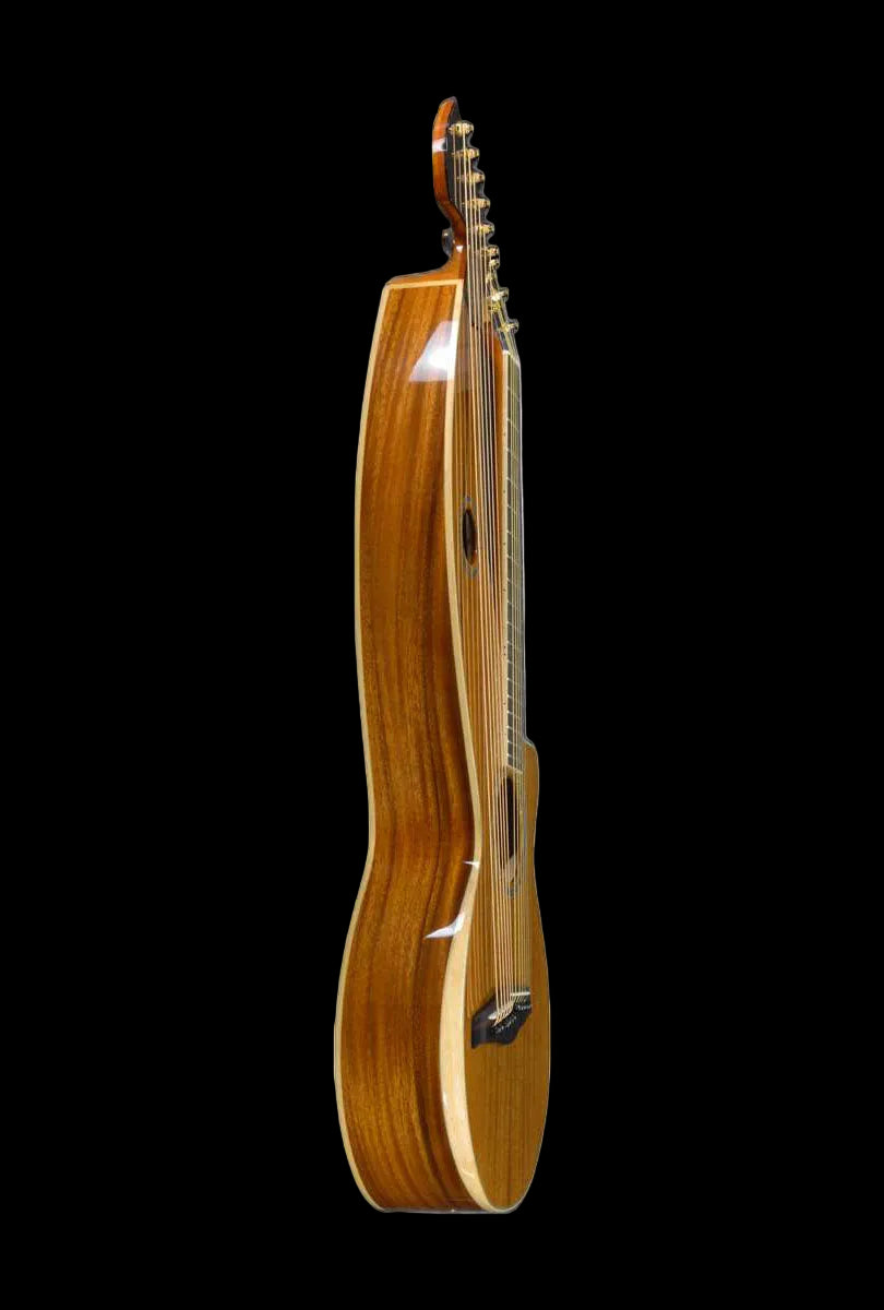 T60HGpc Premium 100% Tropical Acacia 12 String Parlor sized harp
