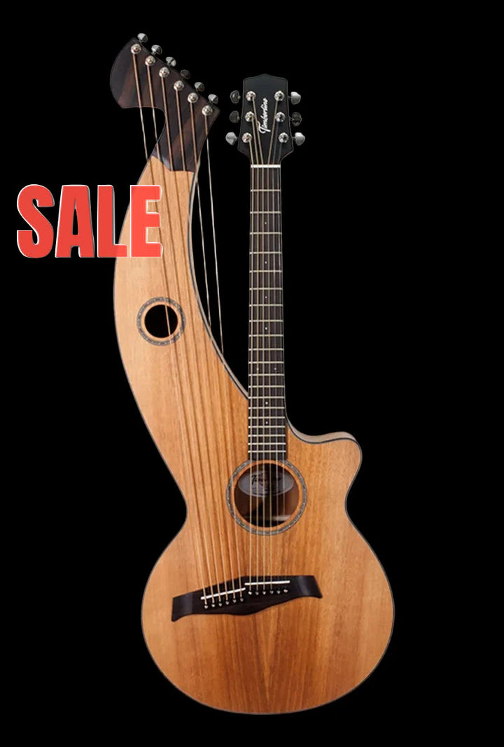 T20HGc Full-Size solid mahogany Auditorium 12-string guitar