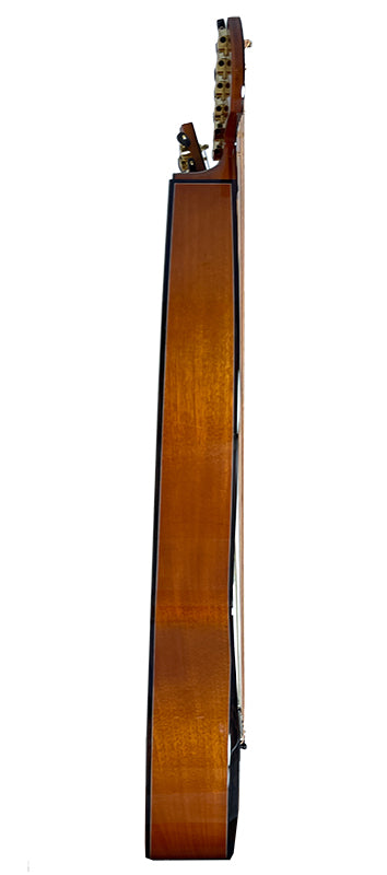 T30HGpc Premium 100% Tropical Mahogany 12 String Parlor sized harp guitar with ebony fretboard, arm bevel and bridge.