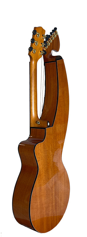 T30HGpc Premium 100% Tropical Mahogany 12 String Parlor sized harp guitar with ebony fretboard, arm bevel and bridge.
