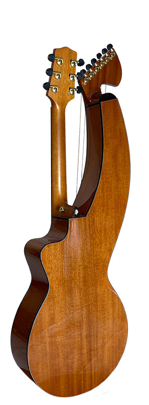 T30HGpc Premium 100% Tropical Mahogany 12 String Parlor sized harp guitar with ebony fretboard, arm bevel and bridge.