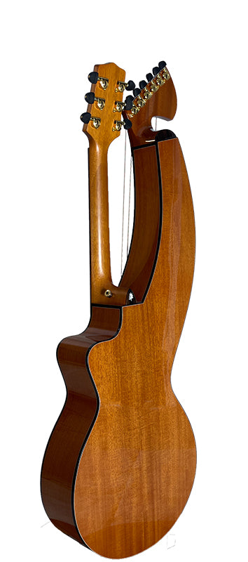 T30HGpc Premium 100% Tropical Mahogany 12 String Parlor sized harp guitar with ebony fretboard, arm bevel and bridge.