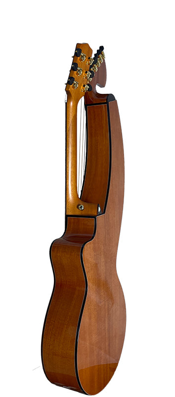 T30HGpc Premium 100% Tropical Mahogany 12 String Parlor sized harp guitar with ebony fretboard, arm bevel and bridge.