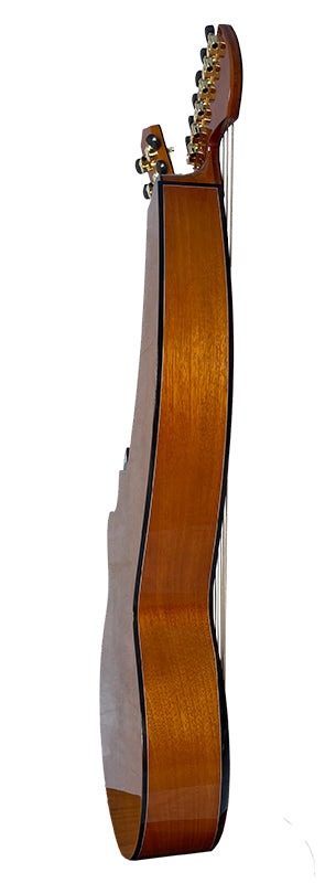T30HGpc Premium 100% Tropical Mahogany 12 String Parlor sized harp guitar with ebony fretboard, arm bevel and bridge.