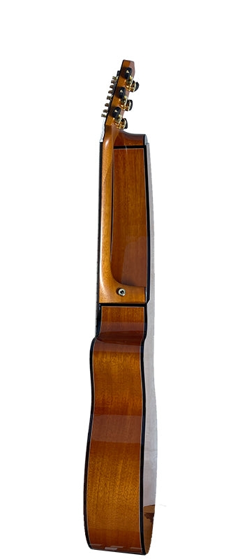 T30HGpc Premium 100% Tropical Mahogany 12 String Parlor sized harp guitar with ebony fretboard, arm bevel and bridge.