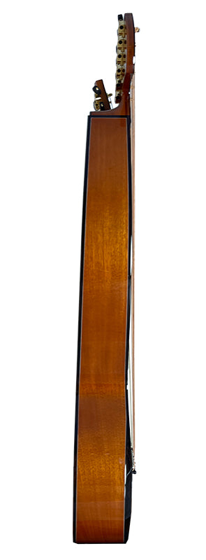 T30HGpc Premium 100% Tropical Mahogany 12 String Parlor sized harp guitar with ebony fretboard, arm bevel and bridge.