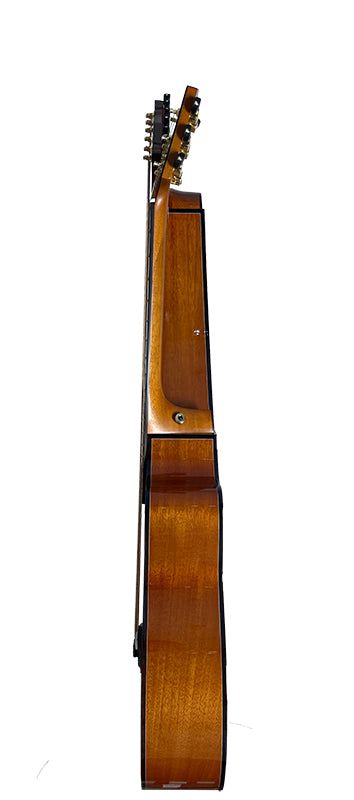 T30HGpc Premium 100% Tropical Mahogany 12 String Parlor sized harp guitar with ebony fretboard, arm bevel and bridge.