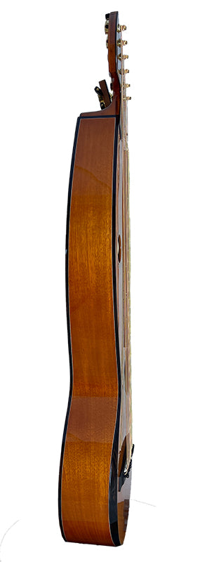 T30HGpc Premium 100% Tropical Mahogany 12 String Parlor sized harp guitar with ebony fretboard, arm bevel and bridge.