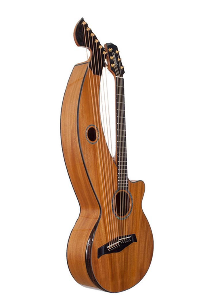 T30HGc Premium 100% Tropical Mahogany 12 String Full Sized Auditorium harp guitar with ebony fretboard, arm bevel  and bridge.