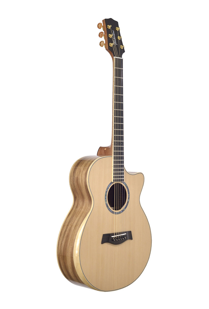 T60Ac Solid Acacia Auditorium cutaway with Tamarind Arm Bevel