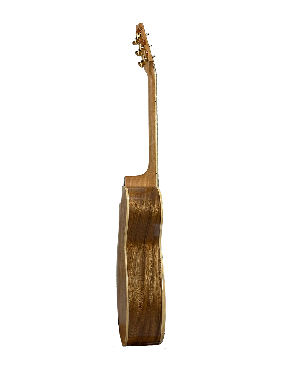 T60GAc Solid Acacia Grand Auditorium cutaway with Tamarind Arm Bevel