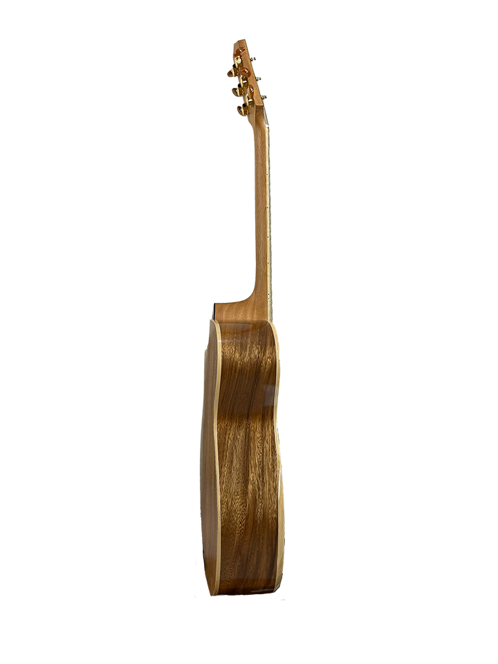 T60GAc Solid Acacia Grand Auditorium cutaway with Tamarind Arm Bevel
