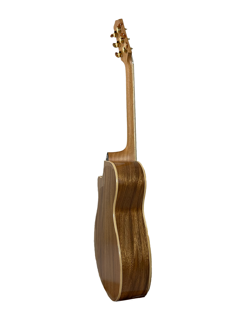 T60GAc Solid Acacia Grand Auditorium cutaway with Tamarind Arm Bevel