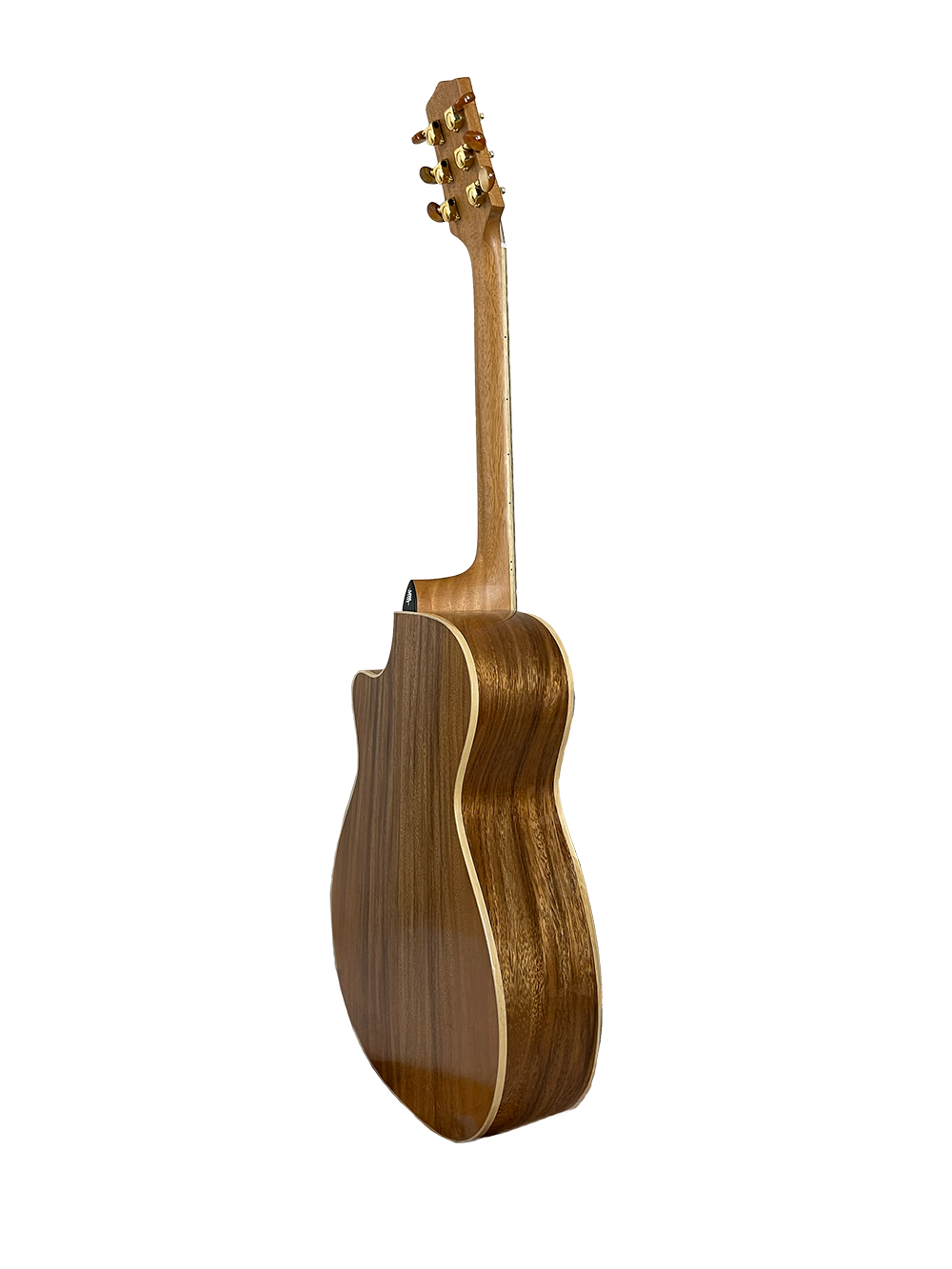 T60GAc Solid Acacia Grand Auditorium cutaway with Tamarind Arm Bevel