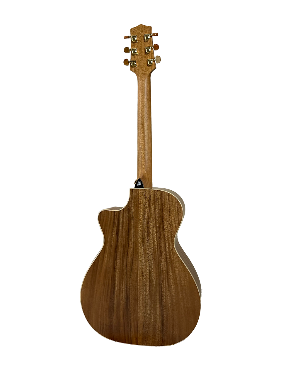 T60GAc Solid Acacia Grand Auditorium cutaway with Tamarind Arm Bevel