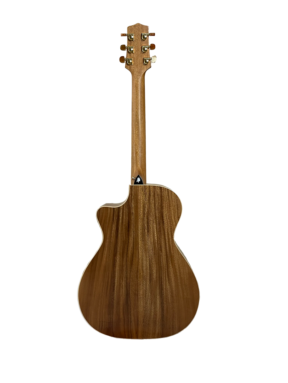 T60GAc Solid Acacia Grand Auditorium cutaway with Tamarind Arm Bevel