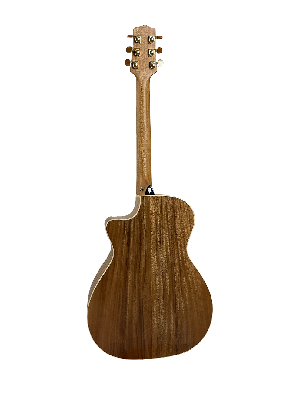 T60GAc Solid Acacia Grand Auditorium cutaway with Tamarind Arm Bevel