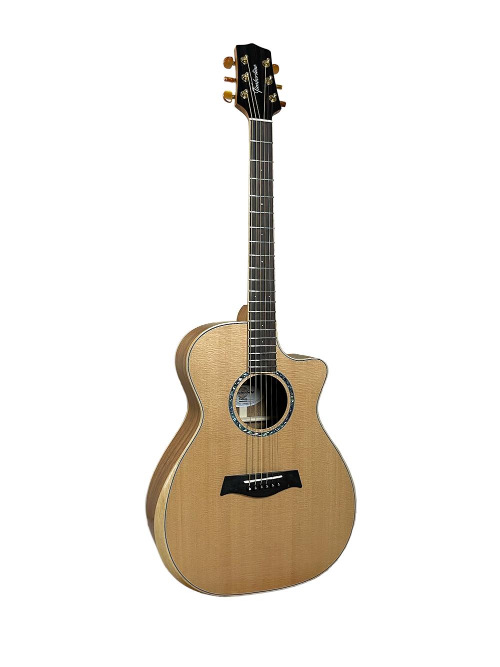 T60GAc Solid Acacia Grand Auditorium cutaway with Tamarind Arm Bevel