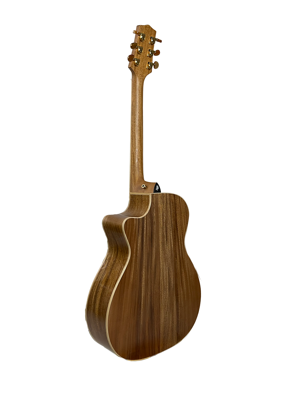 T60GAc Solid Acacia Grand Auditorium cutaway with Tamarind Arm Bevel