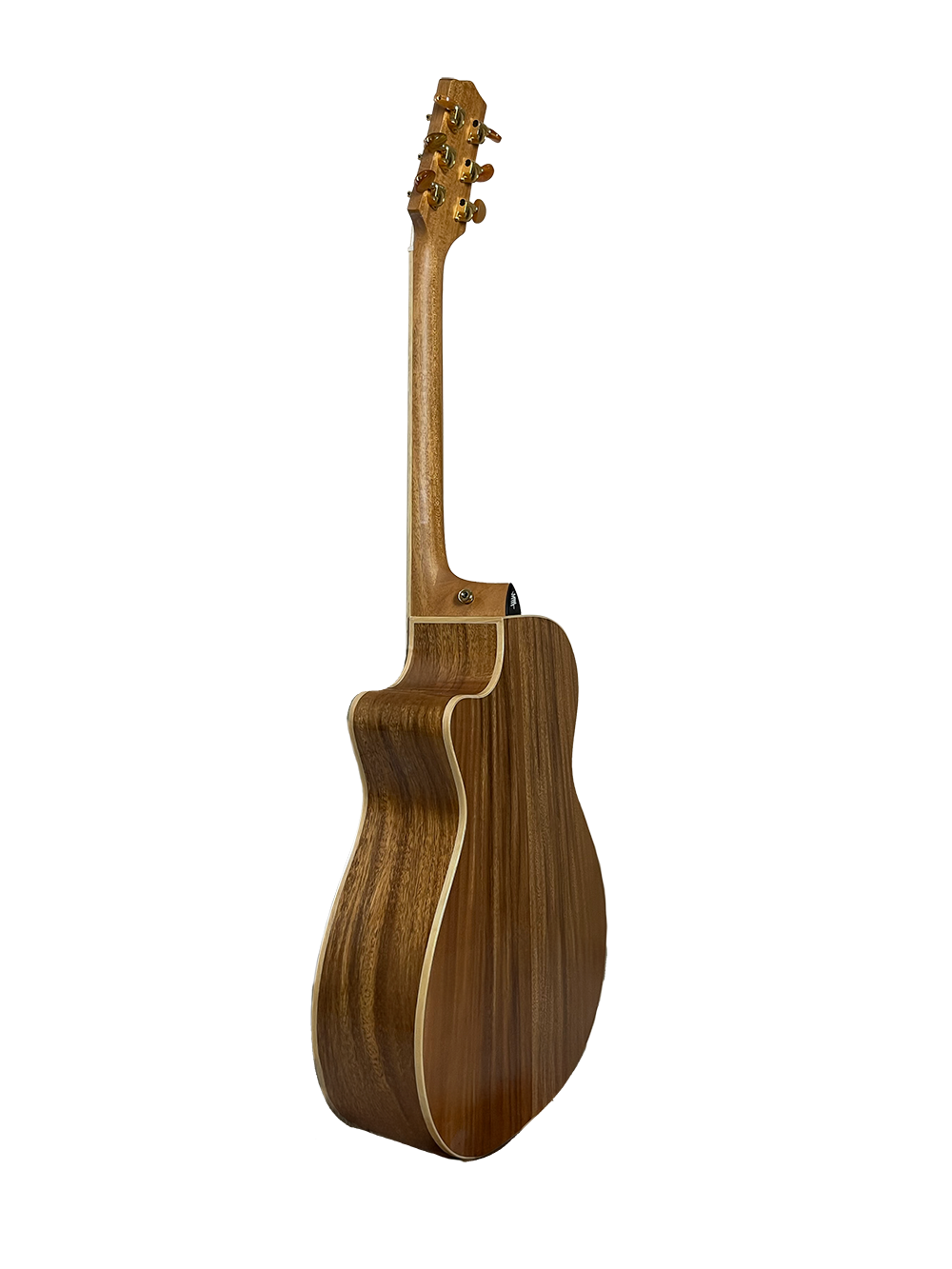 T60GAc Solid Acacia Grand Auditorium cutaway with Tamarind Arm Bevel