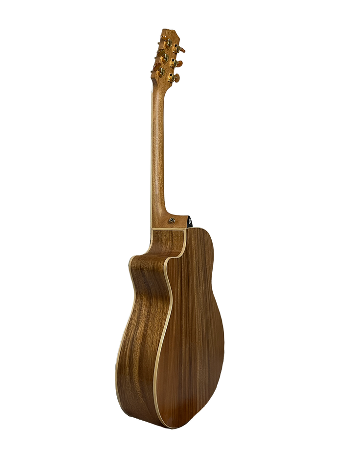 T60GAc Solid Acacia Grand Auditorium cutaway with Tamarind Arm Bevel