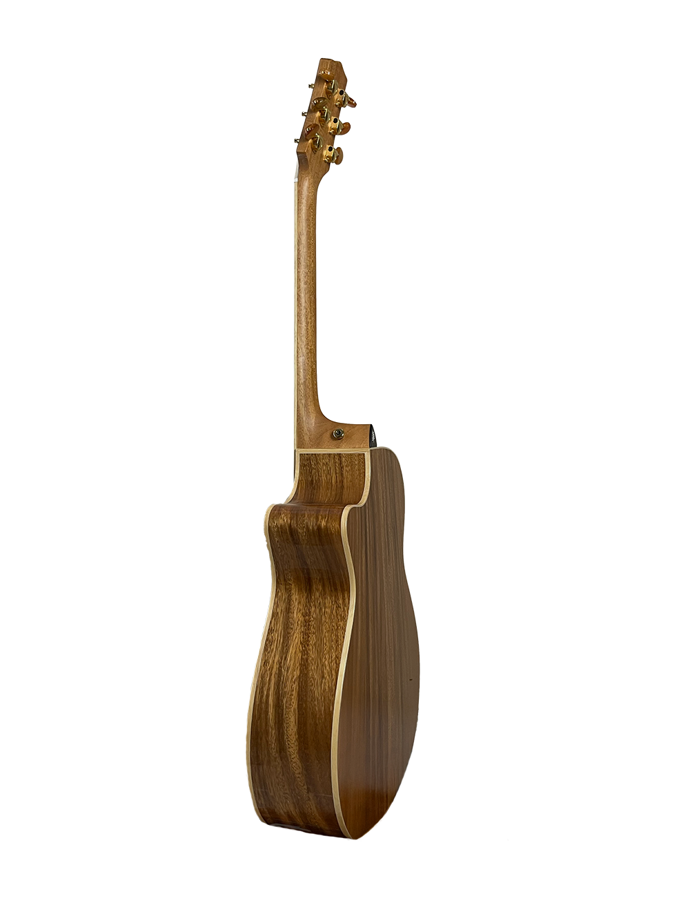 T60GAc Solid Acacia Grand Auditorium cutaway with Tamarind Arm Bevel