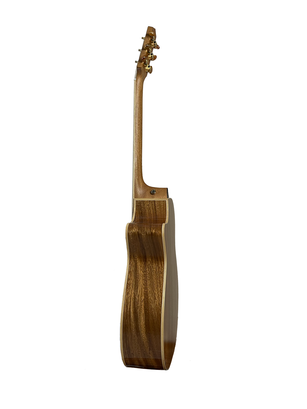 T60GAc Solid Acacia Grand Auditorium cutaway with Tamarind Arm Bevel