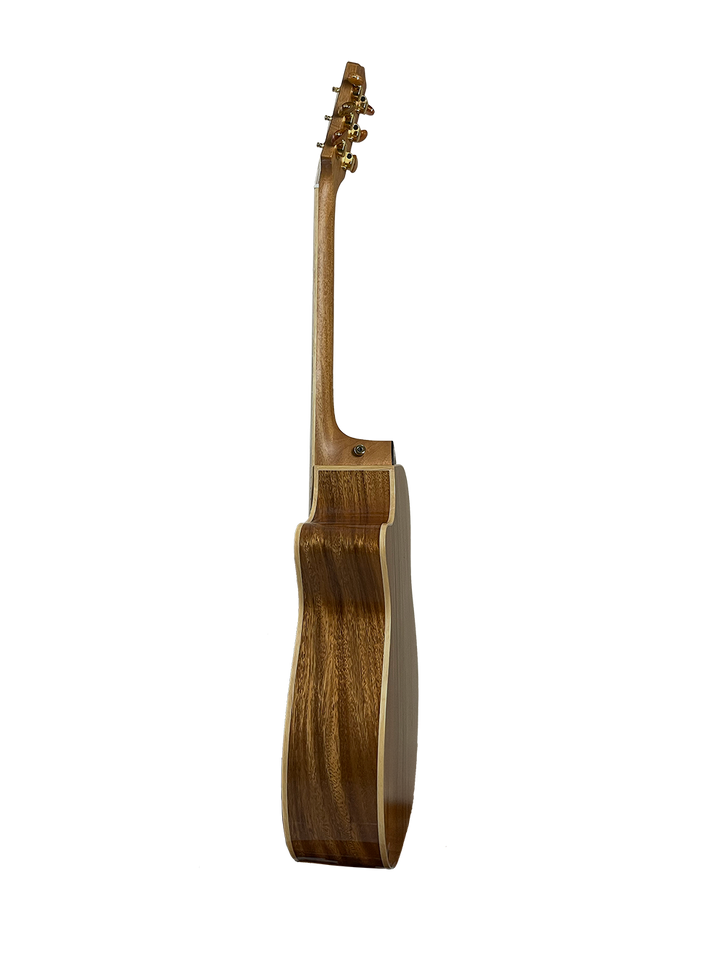 T60GAc Solid Acacia Grand Auditorium cutaway with Tamarind Arm Bevel