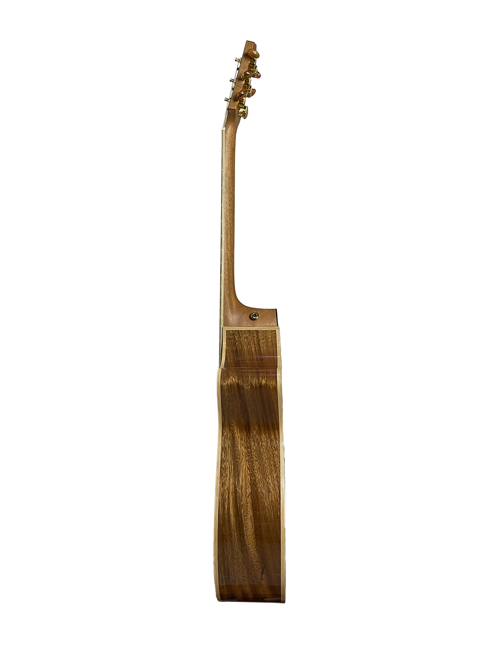 T60GAc Solid Acacia Grand Auditorium cutaway with Tamarind Arm Bevel
