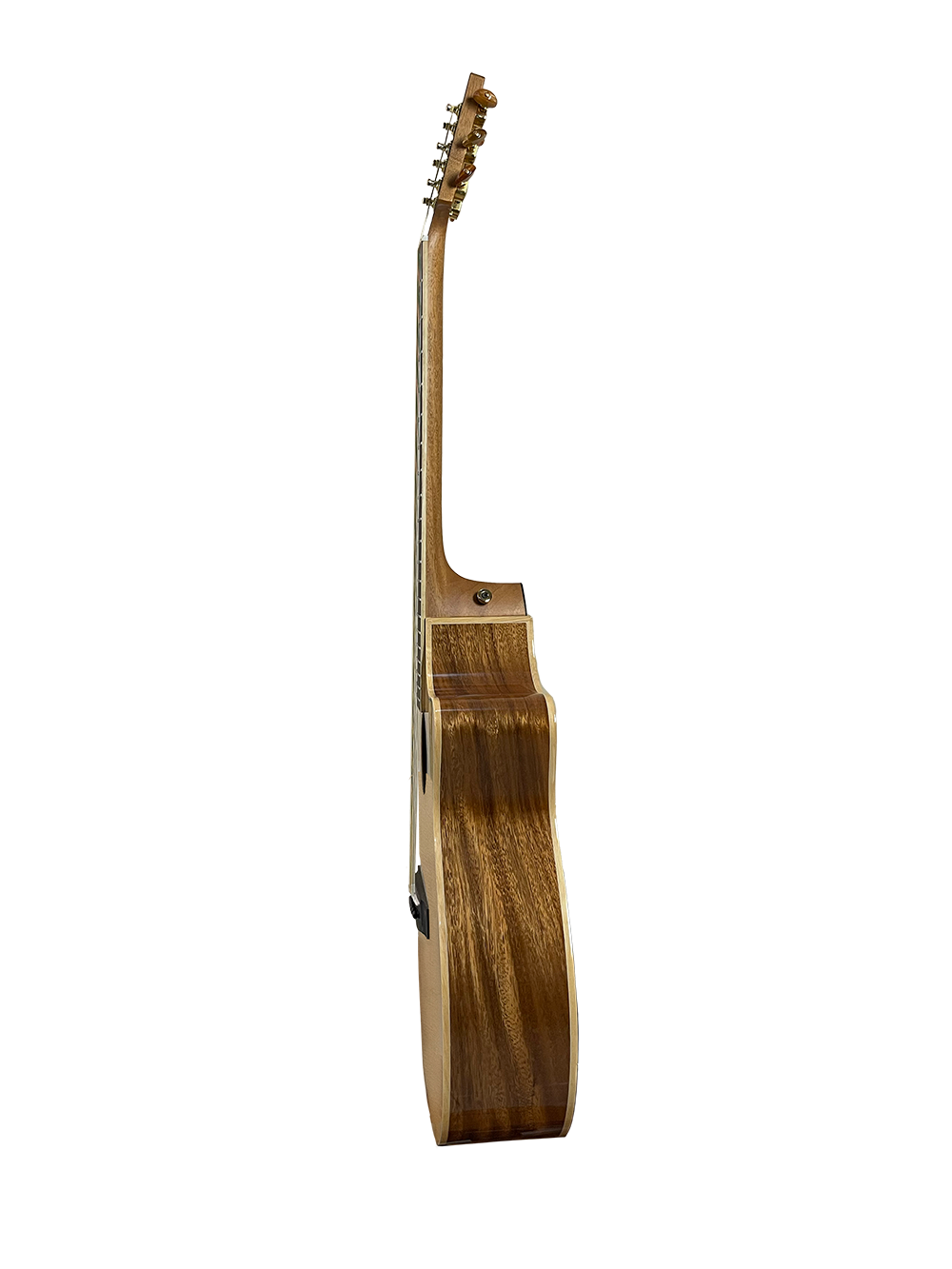 T60GAc Solid Acacia Grand Auditorium cutaway with Tamarind Arm Bevel
