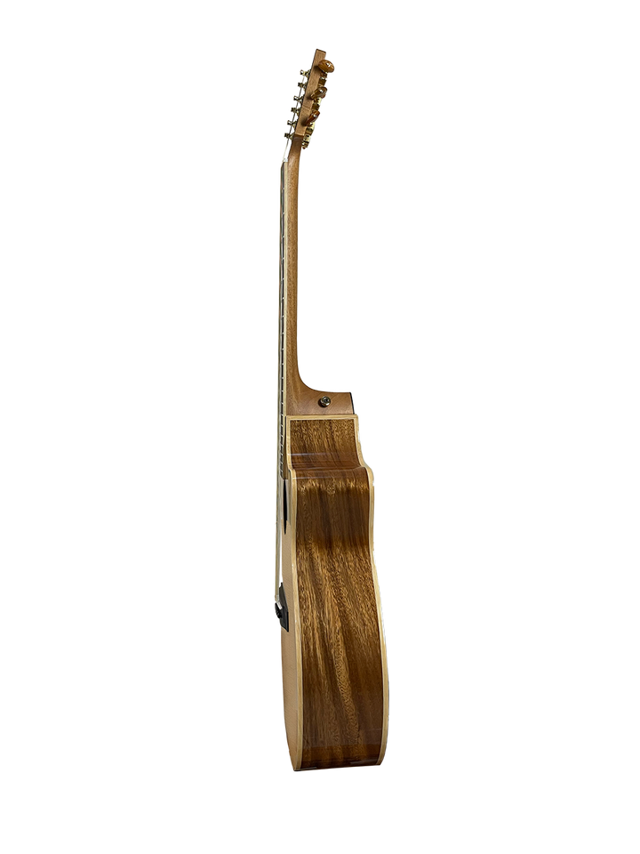 T60GAc Solid Acacia Grand Auditorium cutaway with Tamarind Arm Bevel