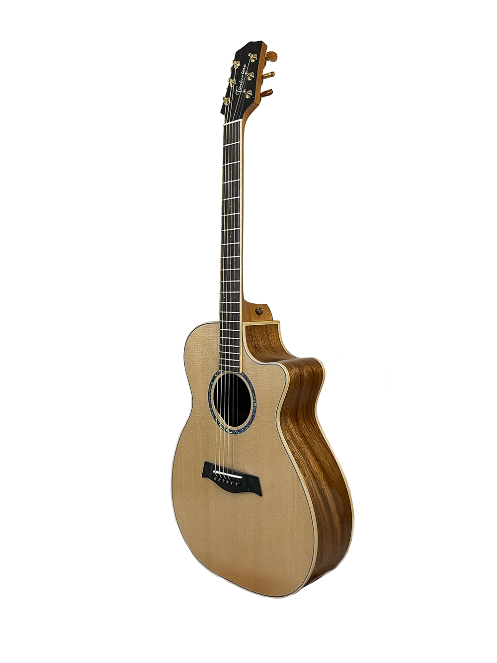 T60GAc Solid Acacia Grand Auditorium cutaway with Tamarind Arm Bevel