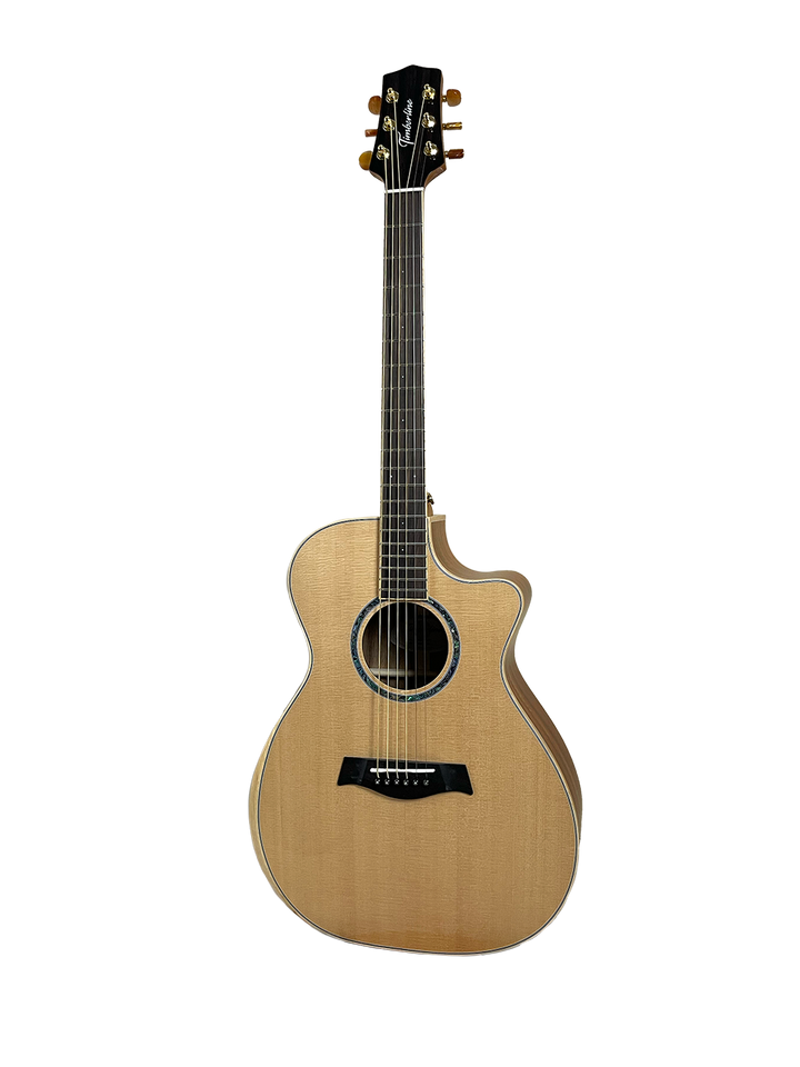 T60GAc Solid Acacia Grand Auditorium cutaway with Tamarind Arm Bevel