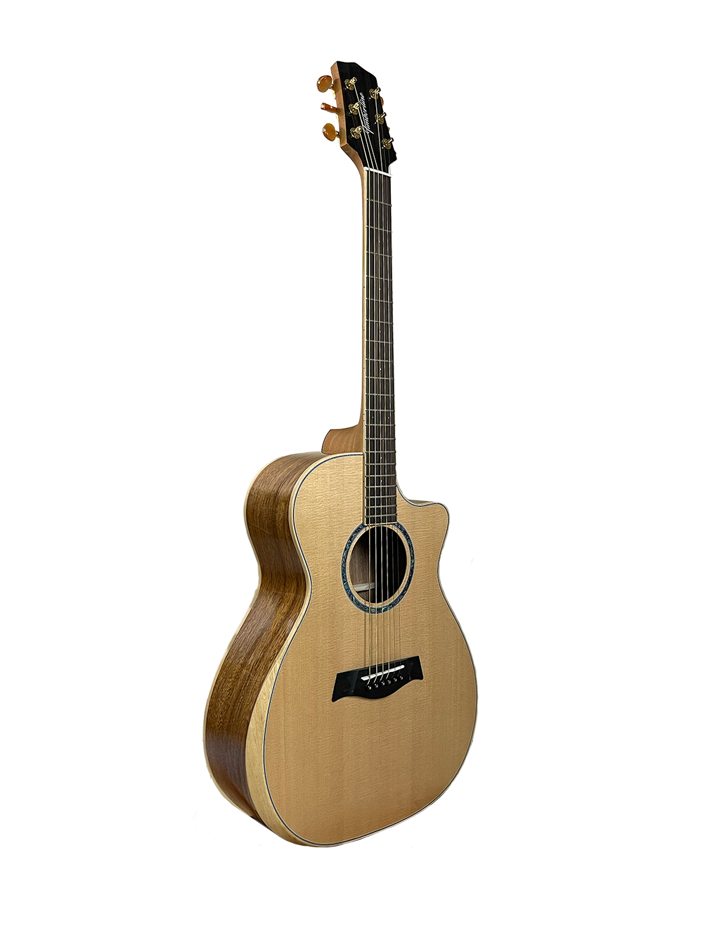 T60GAc Solid Acacia Grand Auditorium cutaway with Tamarind Arm Bevel