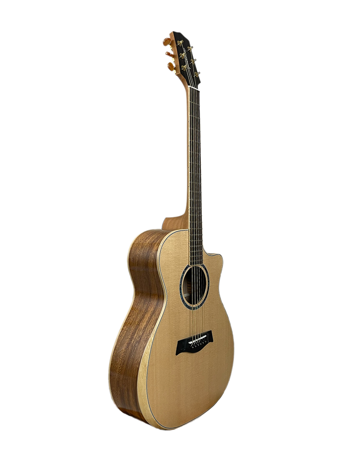T60GAc Solid Acacia Grand Auditorium cutaway with Tamarind Arm Bevel