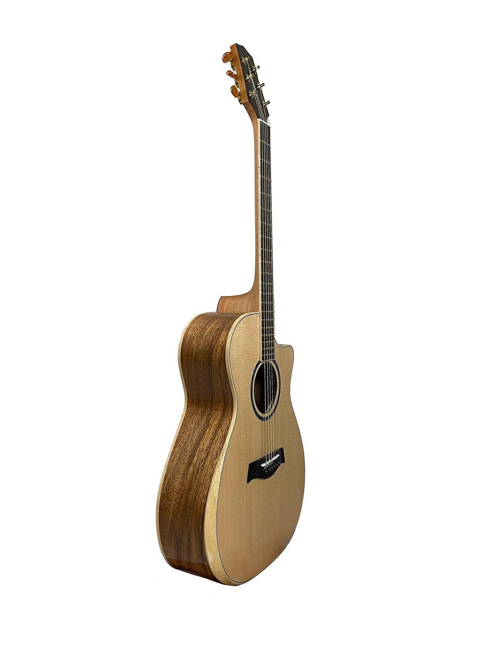 T60GAc Solid Acacia Grand Auditorium cutaway with Tamarind Arm Bevel