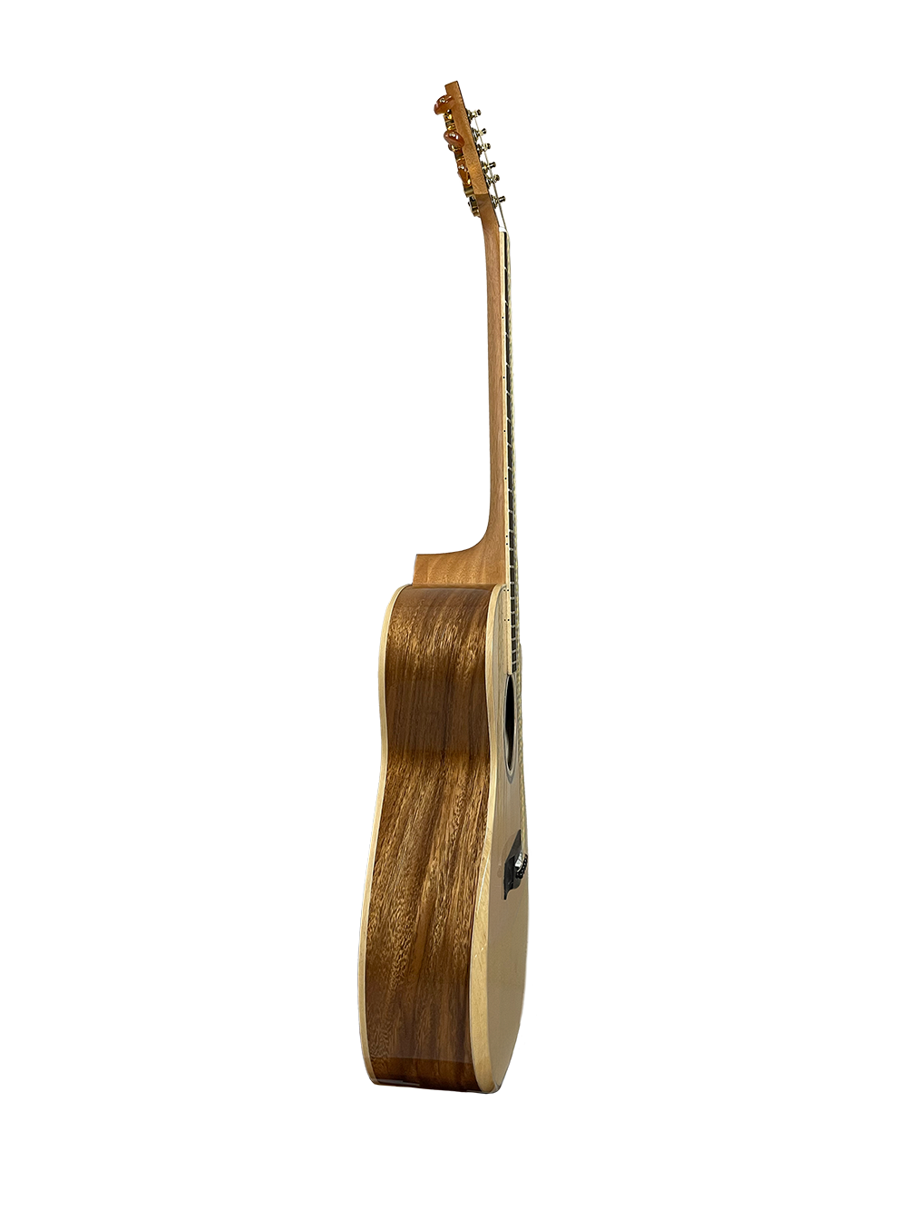 T60GAc Solid Acacia Grand Auditorium cutaway with Tamarind Arm Bevel