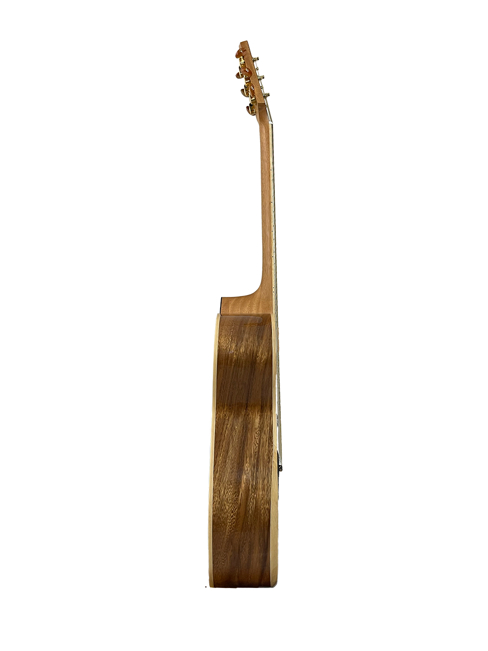 T60GAc Solid Acacia Grand Auditorium cutaway with Tamarind Arm Bevel