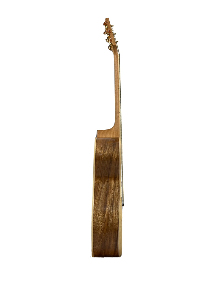 T60GAc Solid Acacia Grand Auditorium cutaway with Tamarind Arm Bevel