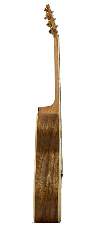 T60GAc Solid Acacia Grand Auditorium cutaway with Tamarind Arm Bevel