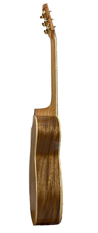 T60GAc Solid Acacia Grand Auditorium cutaway with Tamarind Arm Bevel