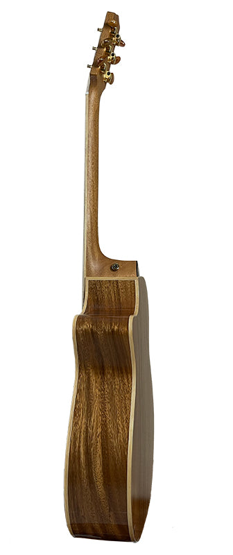 T60GAc Solid Acacia Grand Auditorium cutaway with Tamarind Arm Bevel