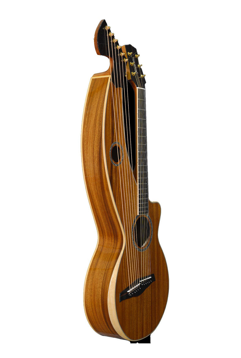 T60HGpc Premium 100% Tropical Acacia 12 String Parlor sized harp guitar with white Tamarind arm bevel and ebony fretboard and bridge.