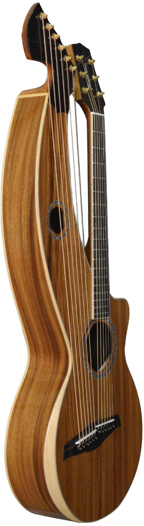 T20HGpc high quality  solid mahogany entry-level 12-string Parlor style harp guitar.