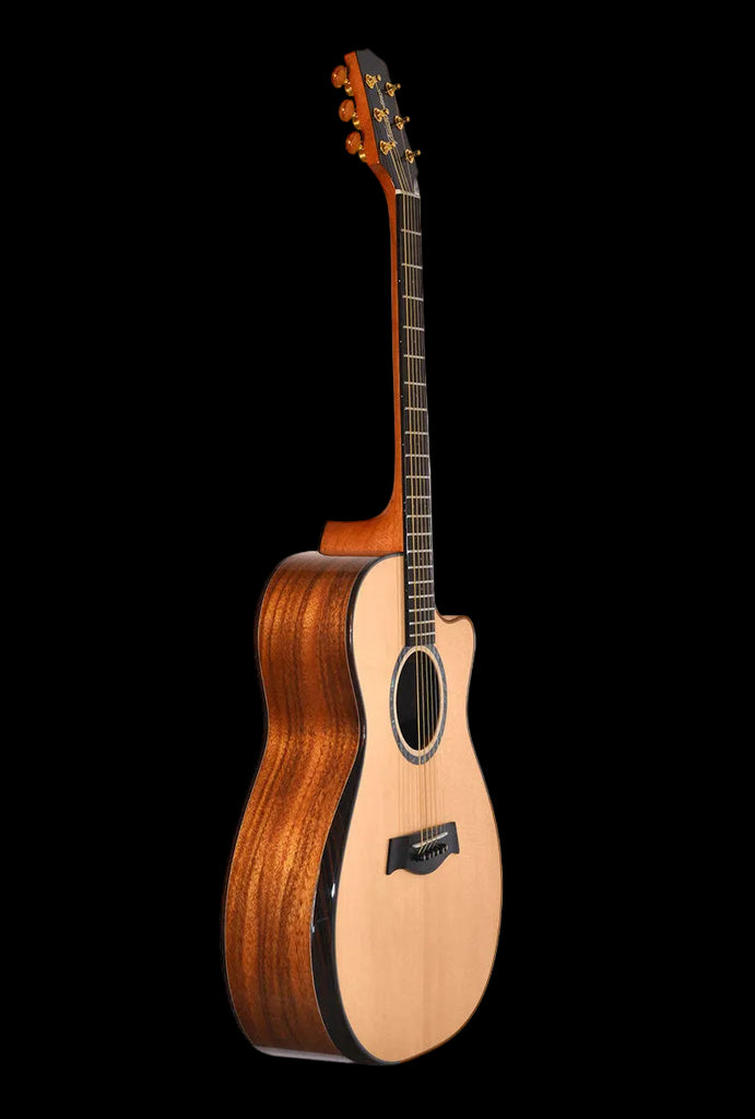 T70GAc Solid Silkwood Grand Auditorium with Ebony Arm Bevel and