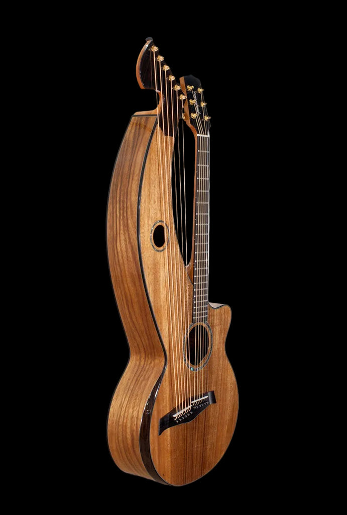 T70HGc Premium 100% Tropical Silkwood 12 String Full Sized
