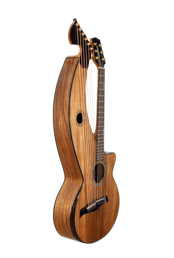 T70HGc Premium 100% Tropical Silkwood 12 String Full Sized Auditorium harp guitar with Maccssar ebony arm bevel, fretboard and bridge.