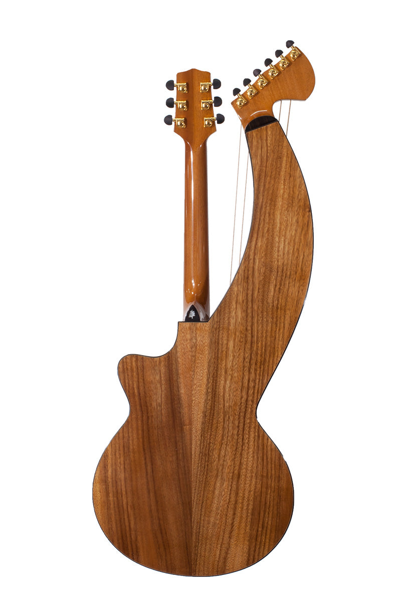 T70HGc Premium 100% Tropical Silkwood 12 String Full Sized Auditorium harp guitar with Maccssar ebony arm bevel, fretboard and bridge.