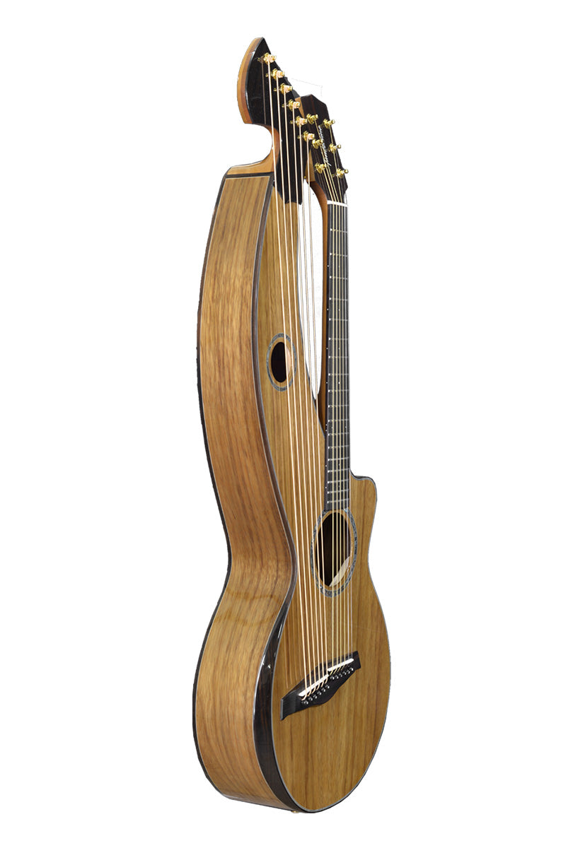 T70HGpc Premium 100% Tropical Silkwood 12 String Parlor sized harp guitar with Maccssar ebony arm bevel, fretboard and bridge.